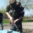 В Туапсинском районе проходит отборочный этап краевой военно-спортивной игры для школьников «Зарница-2019» - Администрация Туапсинского района