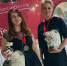 Туапсинки стали призерами конкурса парикмахеров VIP-HairFest в Турции - Туапсинские вести