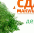 В Туапсинском районе пройдет акция «Сдай макулатуру – спаси дерево» - Администрация Туапсинского района