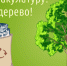 Итоги Всероссийского эко-марафона ПЕРЕРАБОТКА «Сдай макулатуру – спаси дерево» - Администрация Туапсинского района