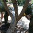 Казаки из Сочи и Туапсе помогают разгребать завалы после наводнения - Туапсинские вести