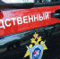 Пропавшая полгода назад на Кубани 14-летняя девочка обнаружена мертвой - Туапсинские вести