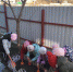 Нажмите для просмотра в полном размере... - Управление образования
