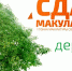 Сдай макулатуру - спаси дерево! - Администрация г. Туапсе