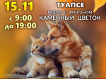 Место проведения выставки-пристройства бездомных животных перенесли