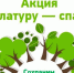 Туапсинский округа снова примет участие во Всероссийском эко-марафоне «Переработка «Сдай макулатуру – спаси дерево» - Туапсинский муниципальный округ