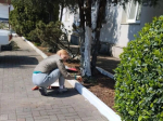 В Туапсинском округе проводятся субботники