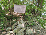 В Туапсинском округе возобновились археологические раскопки на мысе Бескровном