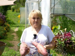 Уникальные сорта батата выращивают селекционеры из Туапсинского округа